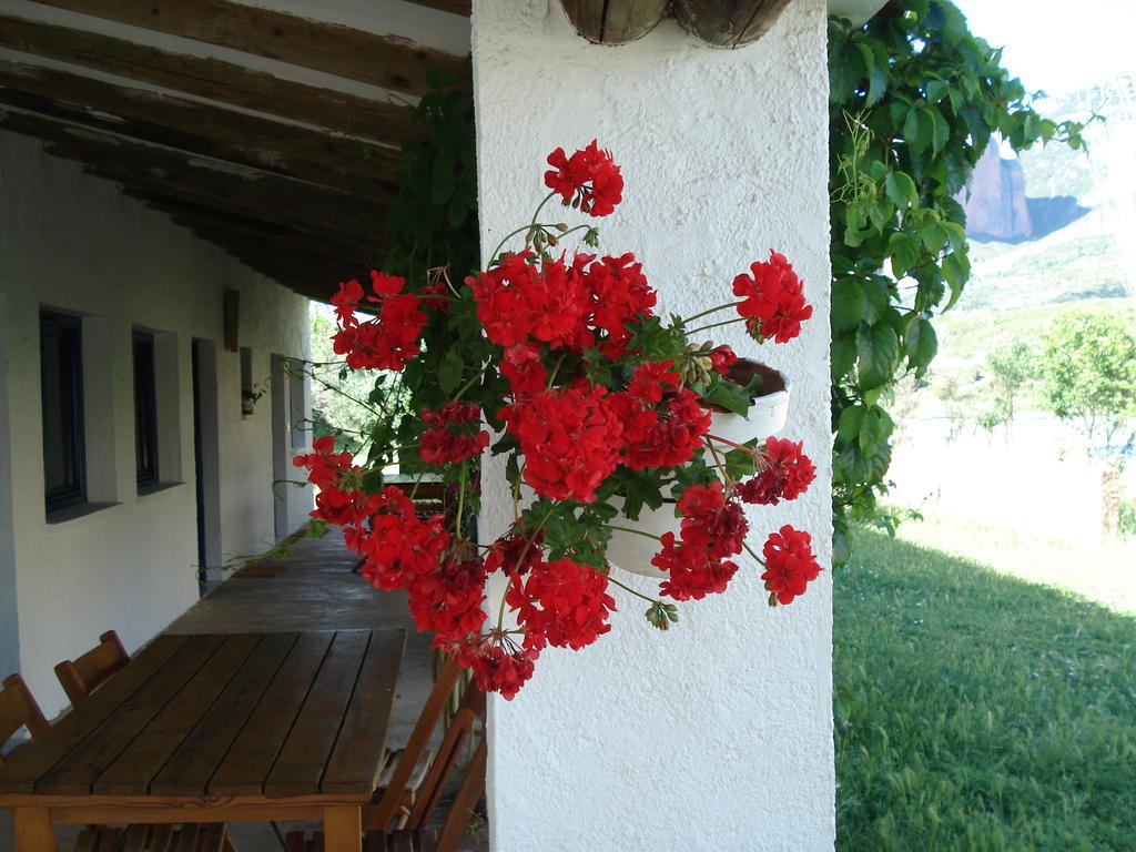 Camping Bungalows Armalygal Murillo de Gállego Quarto foto